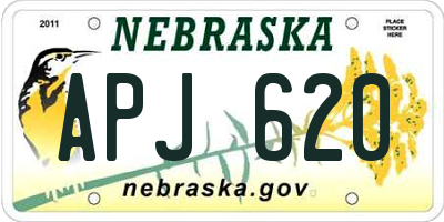 NE license plate APJ620