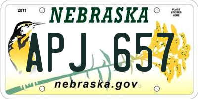 NE license plate APJ657