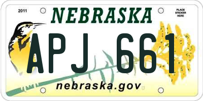 NE license plate APJ661