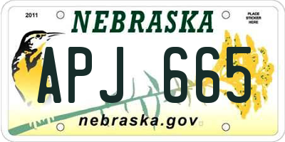 NE license plate APJ665