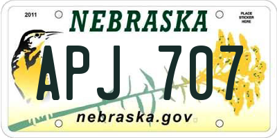 NE license plate APJ707