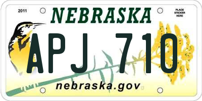 NE license plate APJ710