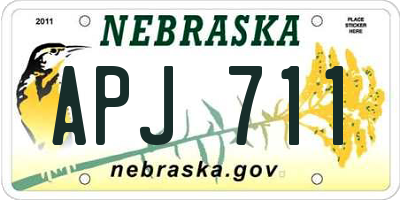 NE license plate APJ711