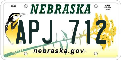 NE license plate APJ712