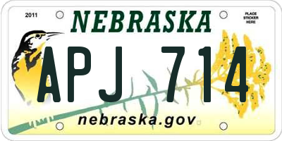 NE license plate APJ714