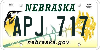 NE license plate APJ717