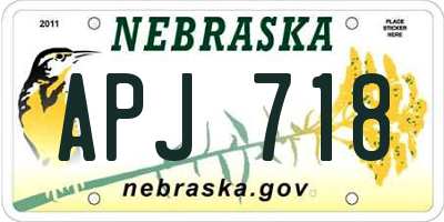 NE license plate APJ718