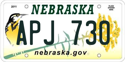 NE license plate APJ730