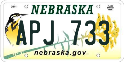 NE license plate APJ733