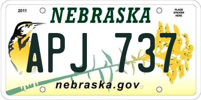 NE license plate APJ737