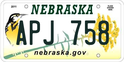 NE license plate APJ758
