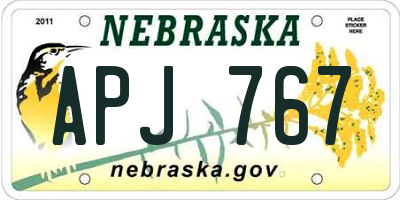 NE license plate APJ767