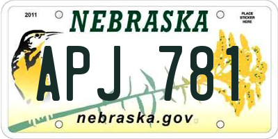 NE license plate APJ781