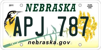 NE license plate APJ787