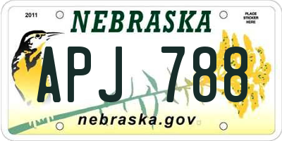 NE license plate APJ788