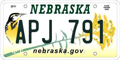 NE license plate APJ791