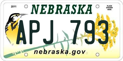 NE license plate APJ793