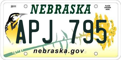 NE license plate APJ795