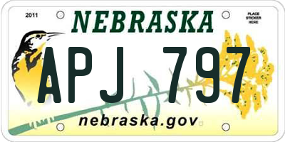 NE license plate APJ797