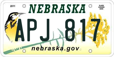 NE license plate APJ817