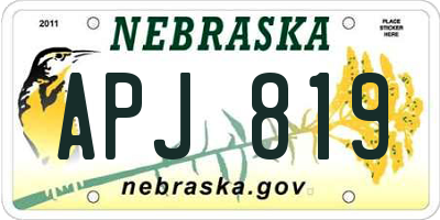 NE license plate APJ819