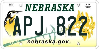 NE license plate APJ822
