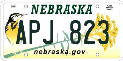 NE license plate APJ823