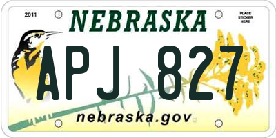 NE license plate APJ827