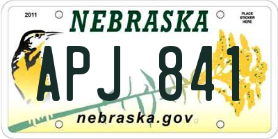 NE license plate APJ841