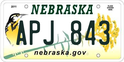 NE license plate APJ843
