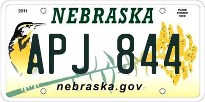 NE license plate APJ844