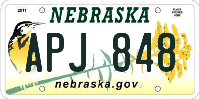 NE license plate APJ848