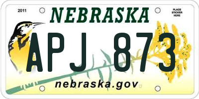 NE license plate APJ873