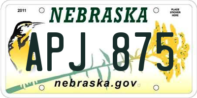 NE license plate APJ875