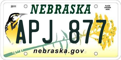 NE license plate APJ877