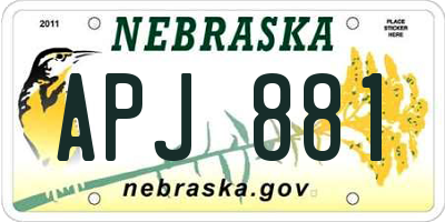 NE license plate APJ881
