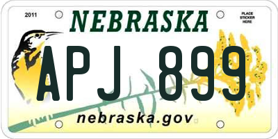 NE license plate APJ899