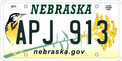 NE license plate APJ913