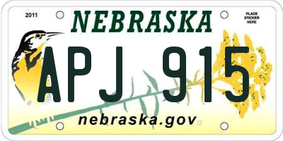 NE license plate APJ915