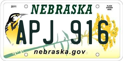 NE license plate APJ916