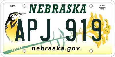 NE license plate APJ919