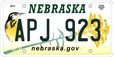 NE license plate APJ923