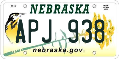 NE license plate APJ938