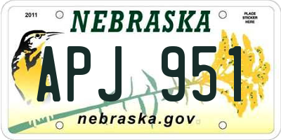 NE license plate APJ951