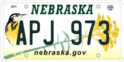 NE license plate APJ973