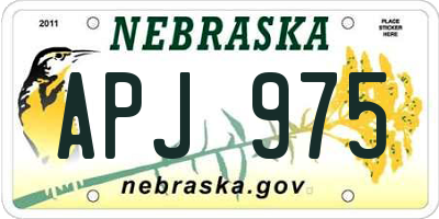 NE license plate APJ975