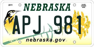 NE license plate APJ981