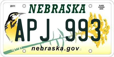 NE license plate APJ993