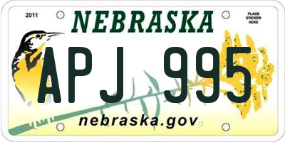 NE license plate APJ995