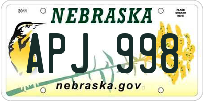 NE license plate APJ998